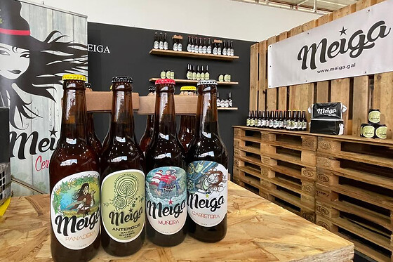 CERVEXA MEIGA - photo 0