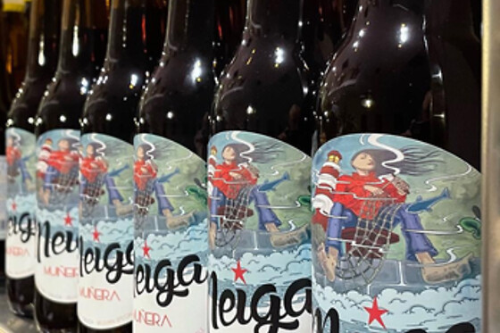 CERVEXA MEIGA - photo 1
