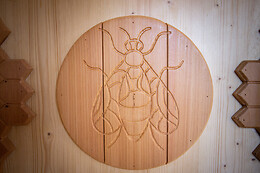Aux secrets des abeilles