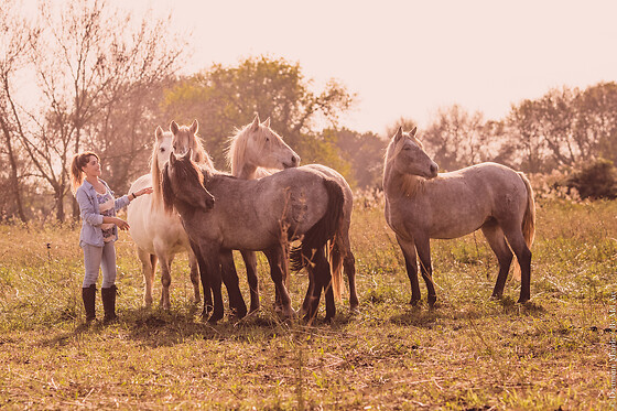 Lait de Jument de Camarque - photo 0