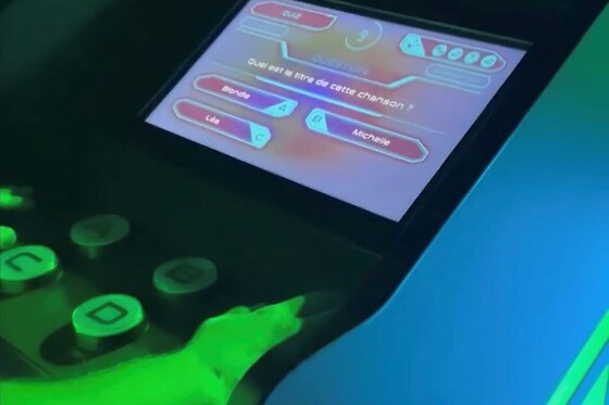 Defi Quiz - photo 16