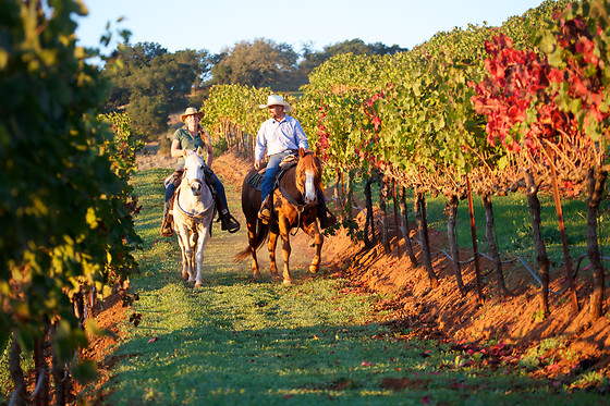 TRINCABEIRAS - photo 12