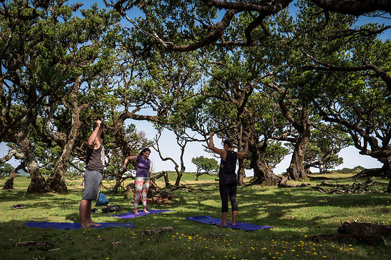 EMILIE MANGONI YOGA - photo 3