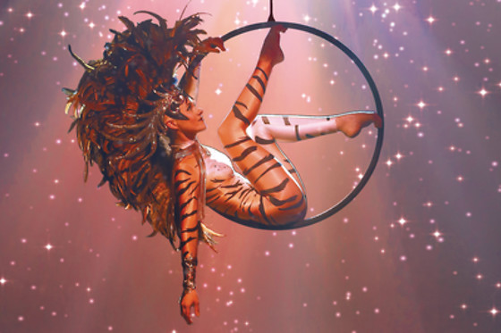 Voulez-Vous Grand Rouen - photo 7
