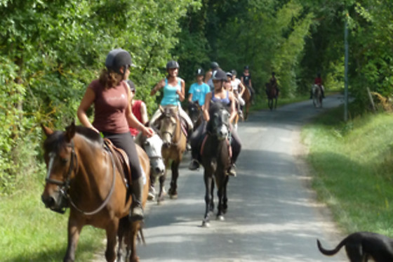 Un Poney, une histoire - photo 7