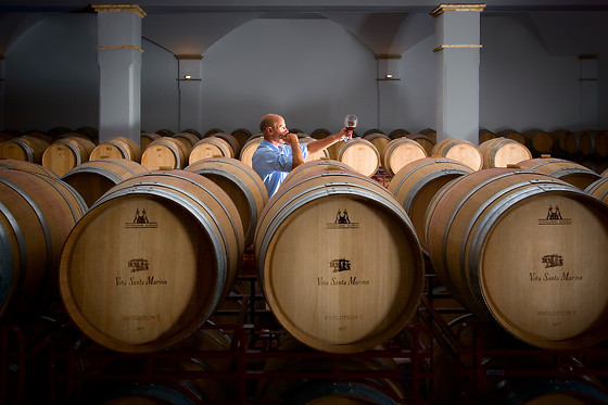 VIÑA SANTA MARINA - photo 9