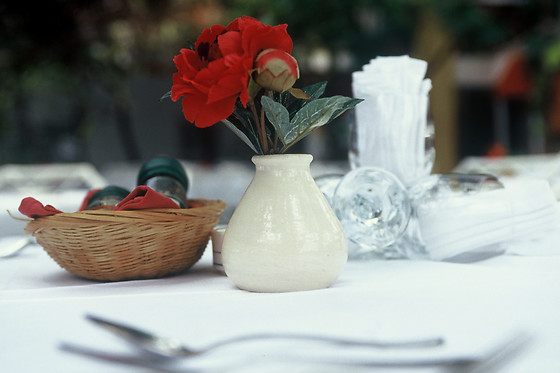 HOTEL LA CANELA - photo 8