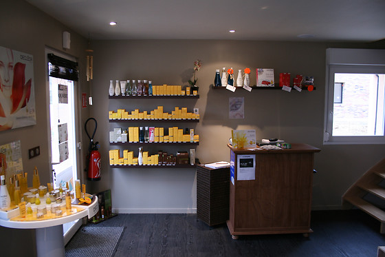 Zen Institut - photo 4