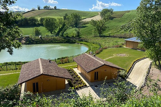 Agriturismo B&B ColleOlivi - photo 4