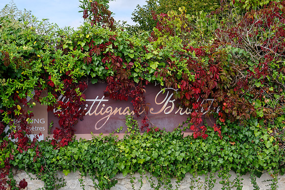 Domaine de Quittignan Brillette - photo 13
