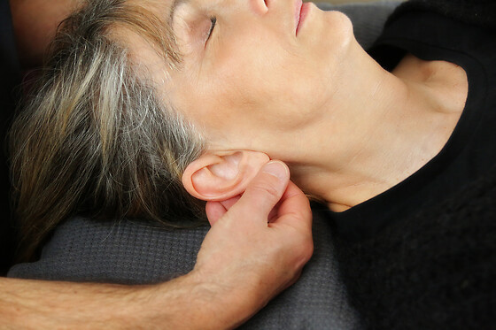 ESPACE KALLIOPE - photo 3