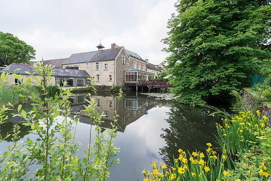 Auberge du Manet - photo 0