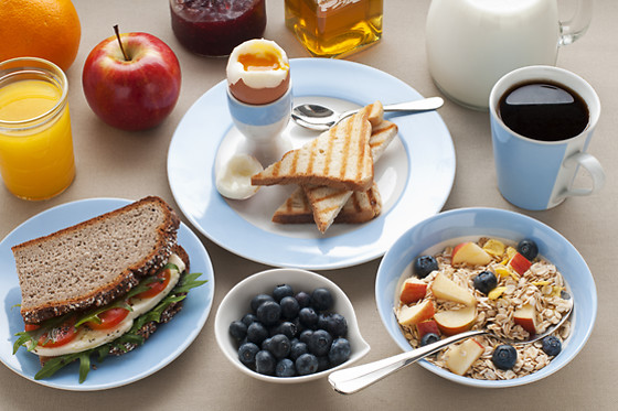 Les Roulottes et Cabanes du Livradois - photo 3