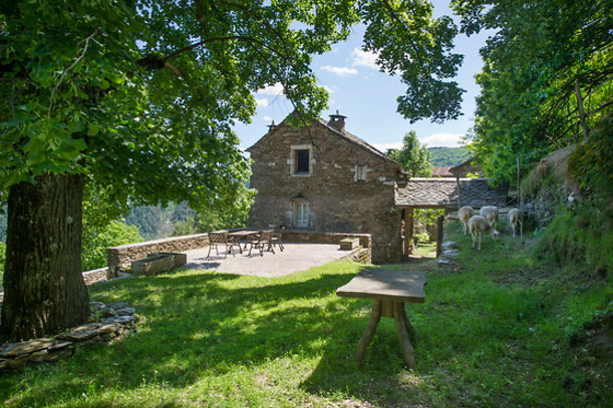 Magnanerie du Serre - photo 20