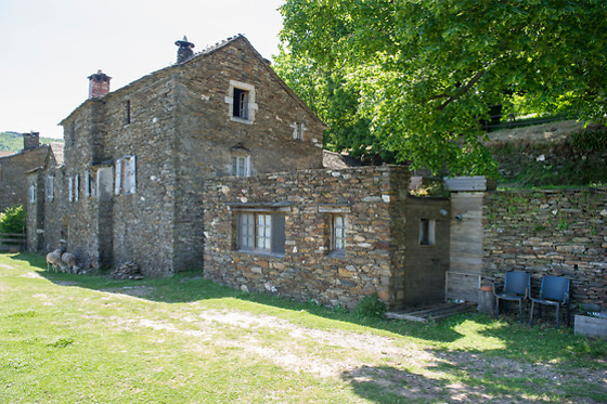 Magnanerie du Serre - photo 15