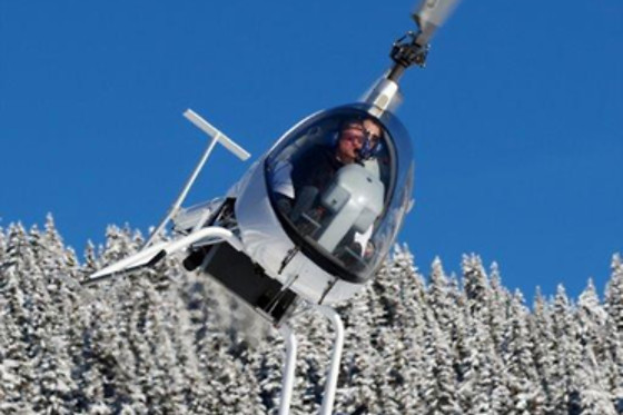 Les Volatiles - photo 8