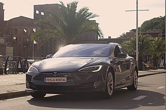 Tesla Rental - photo 3