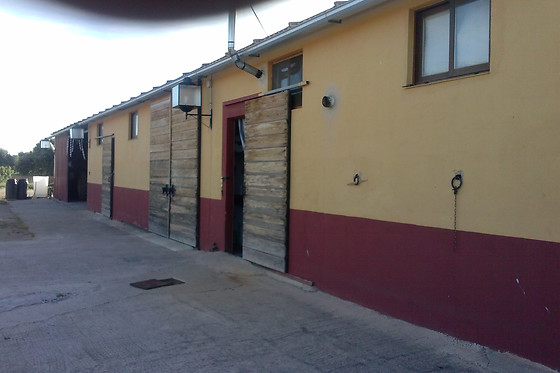 LAS BEATAS Y ZIELO LAS BEATAS - photo 8