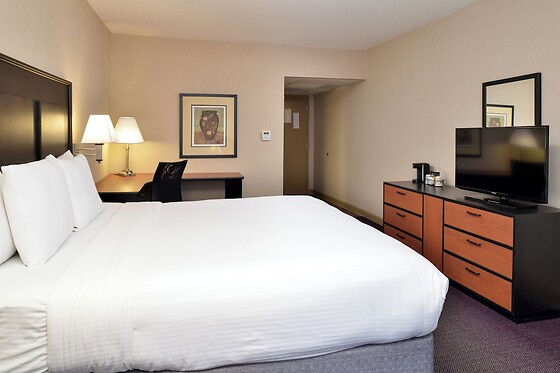 Online Booking EPS - photo 6