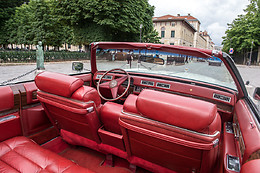 Cady Cruise