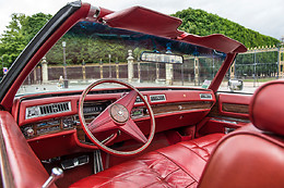 Cady Cruise