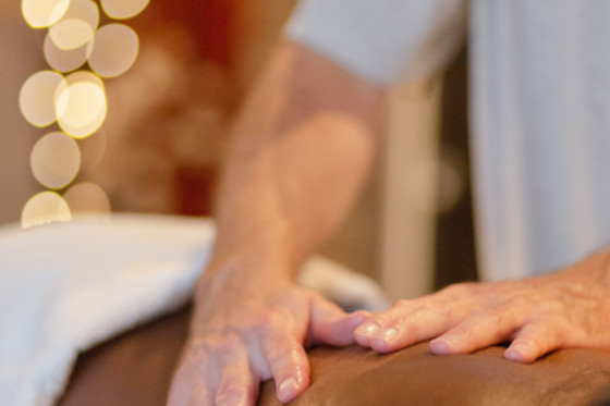 Les massages du monde (Dominique Manceau) - photo 14