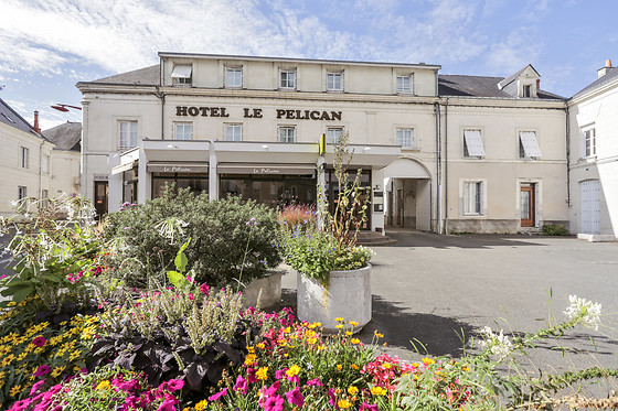 Le Pélican - photo 0