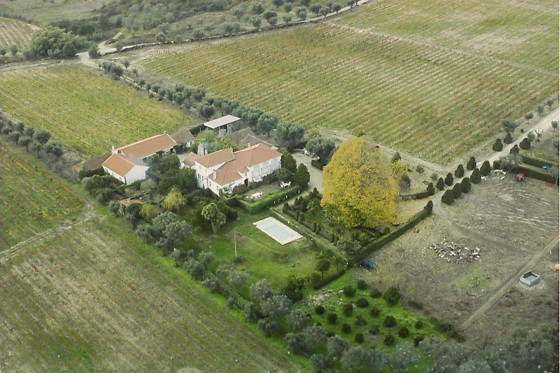 QUINTA DA FATA - photo 10
