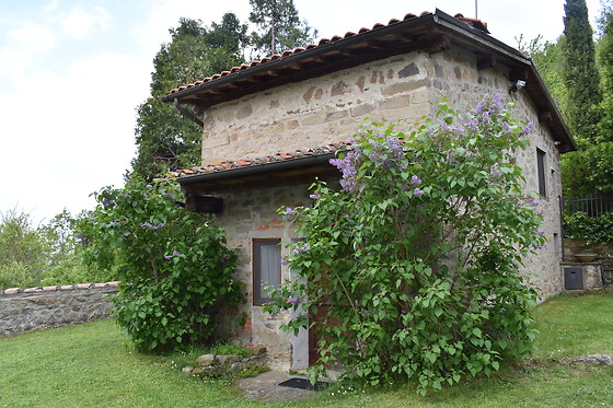Agriturismo Il Praticino - photo 2