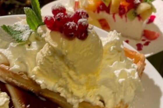 't Laak - photo 8