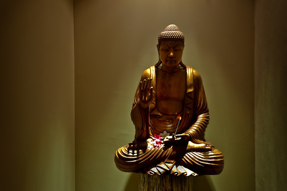 The Private Spa - photo 3