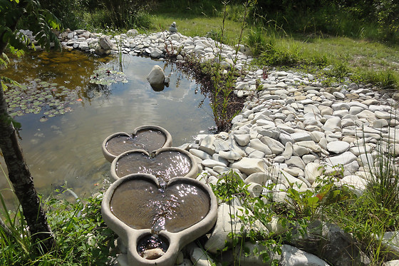 Oasis de Bellecombe - photo 5