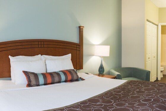 Online Booking EPS - photo 4