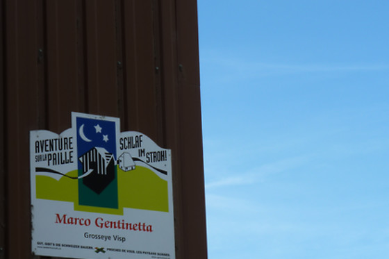 Zucht- und Reitstall Gentinetta - photo 1