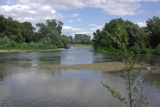 CANOËS DU RIED - photo 1