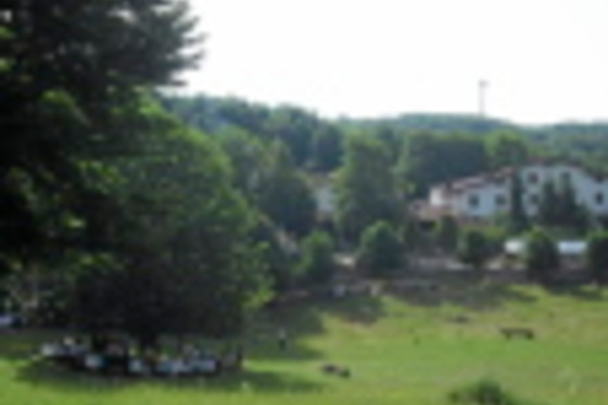 Albergo Rifugio del Cinghiale - photo 9