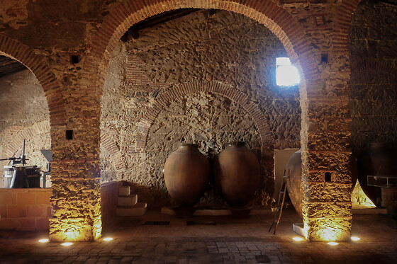 Cella Vinaria Antiqua by Honrado Vineyards - photo 3