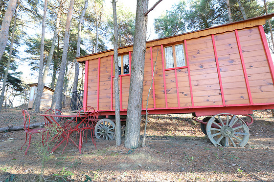 1001 Cornes - photo 1