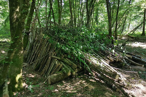 Atelier Bruni Castor / Camp du Père Castor - photo 3