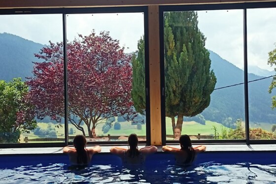 Chalet Le Titlis - photo 3