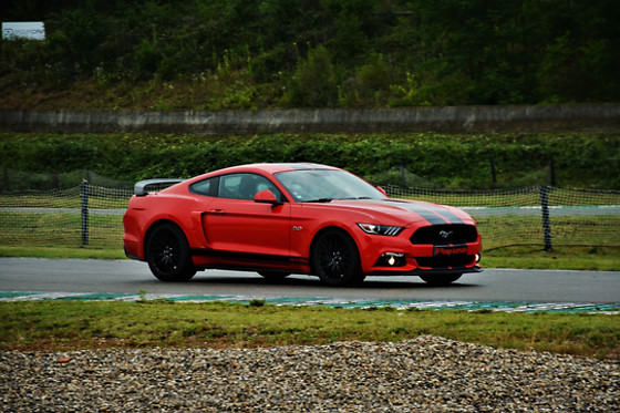 SP Pilotage automobile - photo 5
