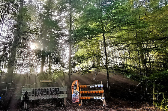 Avenature - photo 11