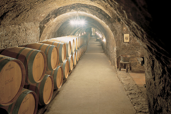 BODEGAS ISMAEL ARROYO - VALSOTILLO - photo 0