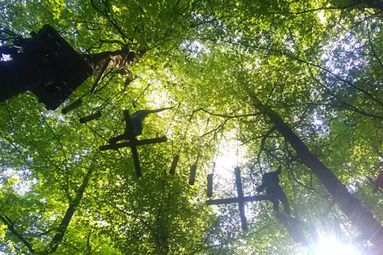Cap Nature - photo 0