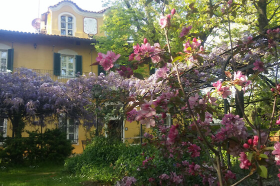 Villa Mirano B&B - photo 2