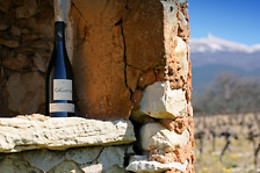 VMV Vignerons du Mont Ventoux
