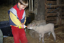 Ferme de creac'h gourlès