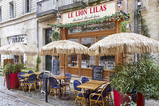 Le Lion Lilas - photo 12