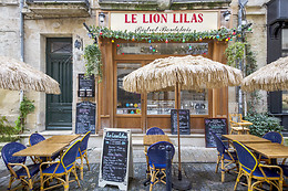 Le Lion Lilas