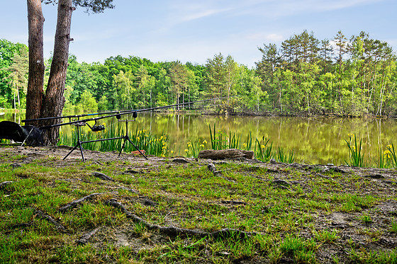 Etang des fontenils - photo 10